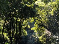 -广州市白云山风景名胜区