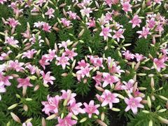 -长春公园(普阳街道)