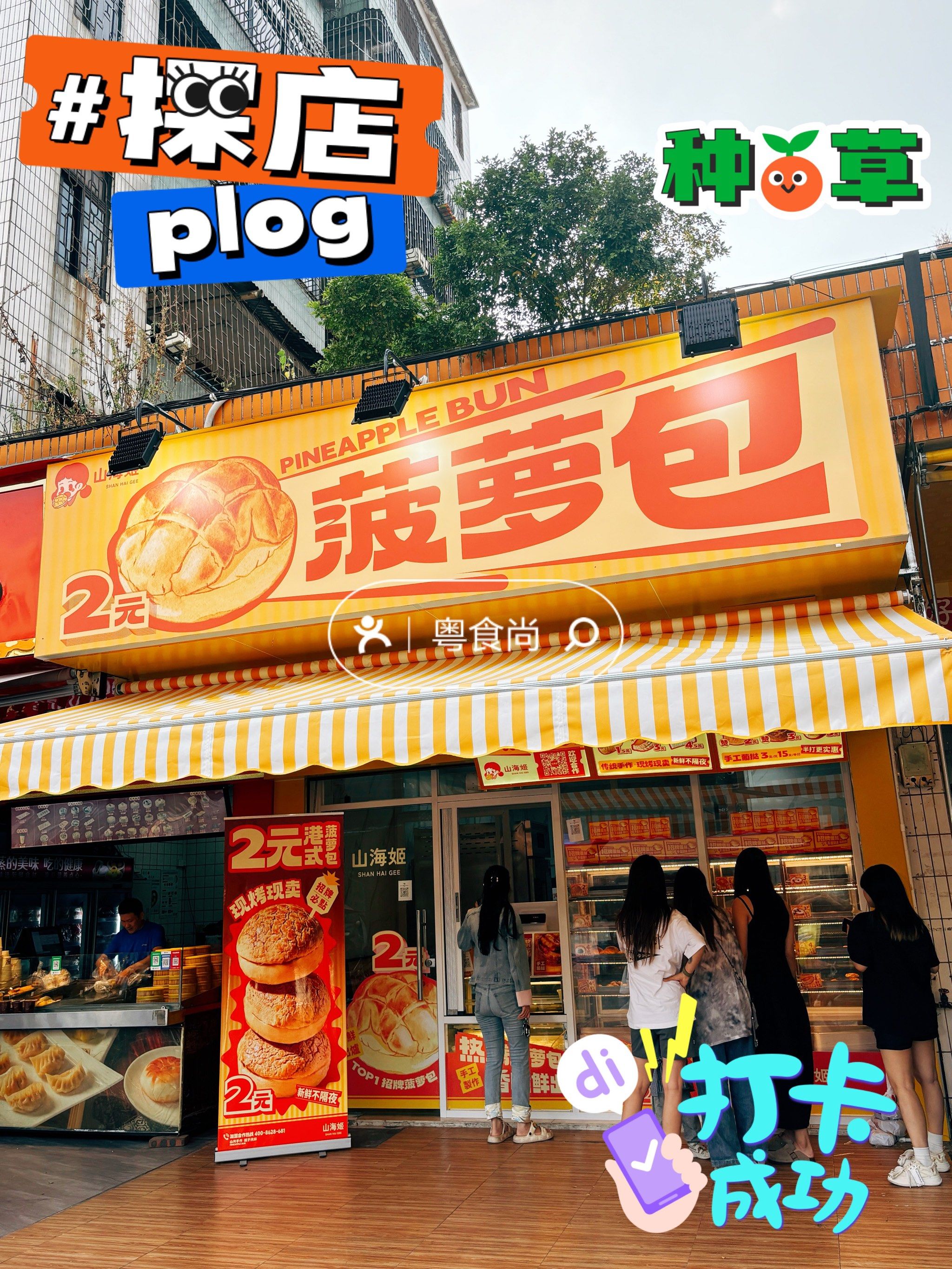 菠萝包为什么叫菠萝包