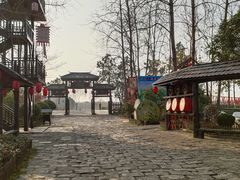 -合肥滨湖国家森林公园