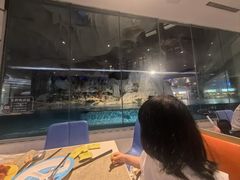 -帝企鹅自助餐厅•儿童岛•真企鹅(长隆企鹅酒店)