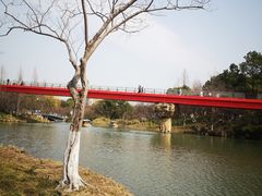 -青枫公园