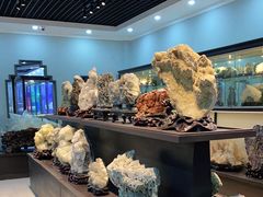 -游龙石文化科普馆