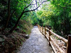 -牛鱼嘴原始生态风景区