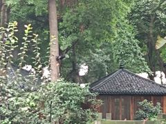 -大妙火锅·非物质文化遗产(东湖公园店)