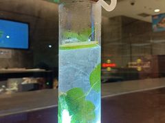 -海底捞火锅(龙岗星河COCO Park店)
