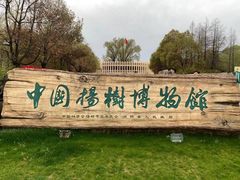 -江苏省泗阳县成子湖旅游度假区综合服务中心-停车场
