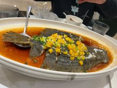 -金粤九号(李公堤店)