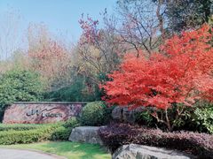 -天目湖涵田半山温泉