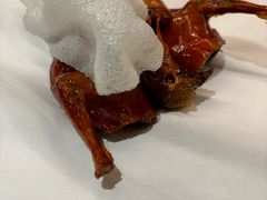 -鸽子侯·家宴·平价海鲜(绿地店)
