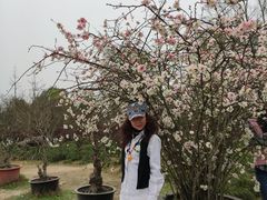 -秀丽东方