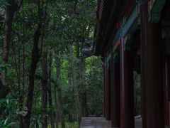 -灵谷景区