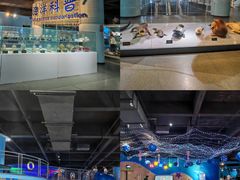 -泉城欧乐堡海洋极地世界