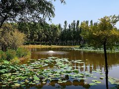 -东郊湿地公园