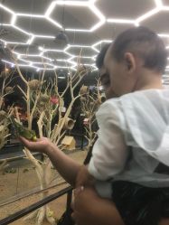 -未来动物城主题公园(正弘城店)