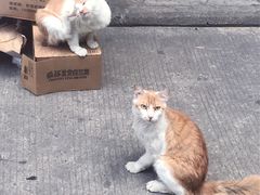-无牌咖啡&酒馆