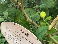 -春满园生态餐厅(南宫路店)