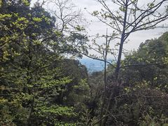 -青城山