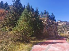 -芦芽山旅游度假区