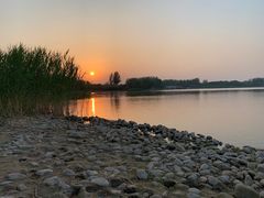 -大兴滨河森林公园