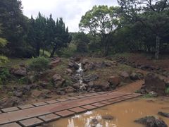 -汉拿树木园