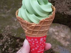 豆政の抹茶冰淇淋-豆政(金閣寺境内売店)