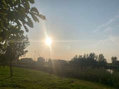 -蒲河岛湿地公园