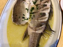 招牌野生海鲈鱼-南湖船菜大酒店
