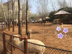 -大连森林动物园