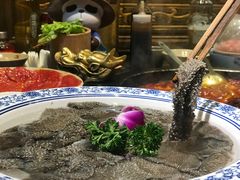 -蜀大侠火锅(建设路第五大道店)