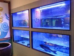 -潭州老友灶台鸡·竹屋老灶(光明E城店)