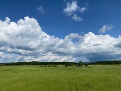 -塞罕坝国家级自然保护区