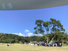 -梧桐山风景名胜区