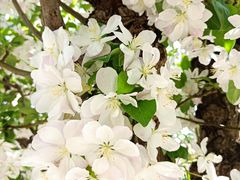 -元大都城垣遗址公园