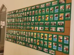 -青苗儿童口腔(长楹天街购物中心)