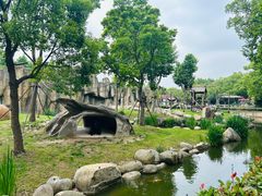 -上海野生动物园