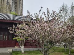 -堤角公园