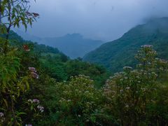 -华蓥山天意谷景区