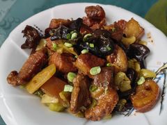 -洞背山庄(洞背院区式管理小区店)