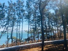 -养马岛旅游度假区