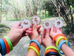 -三圣花乡旅游区