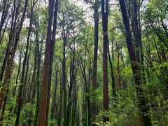 -同里国家湿地公园