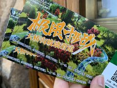 -丹东天桥沟景区