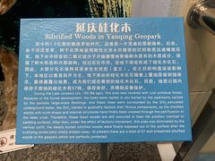 -延庆地质公园博物馆