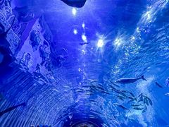 -华夏文旅海洋公园