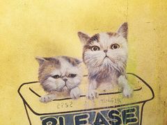 -槟城街头艺术街区