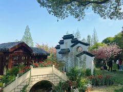 -苏州上方山国家森林公园