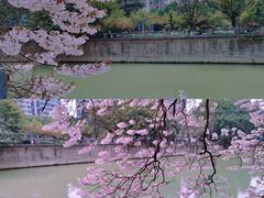 -红星桥(地铁站)
