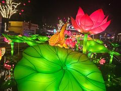 -茯茶镇