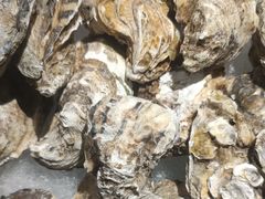 -星伦多自助料理·涮烤一体(嘉兴八佰伴店)